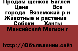 Продам щенков Биглей › Цена ­ 15 000 - Все города, Вяземский р-н Животные и растения » Собаки   . Ханты-Мансийский,Мегион г.